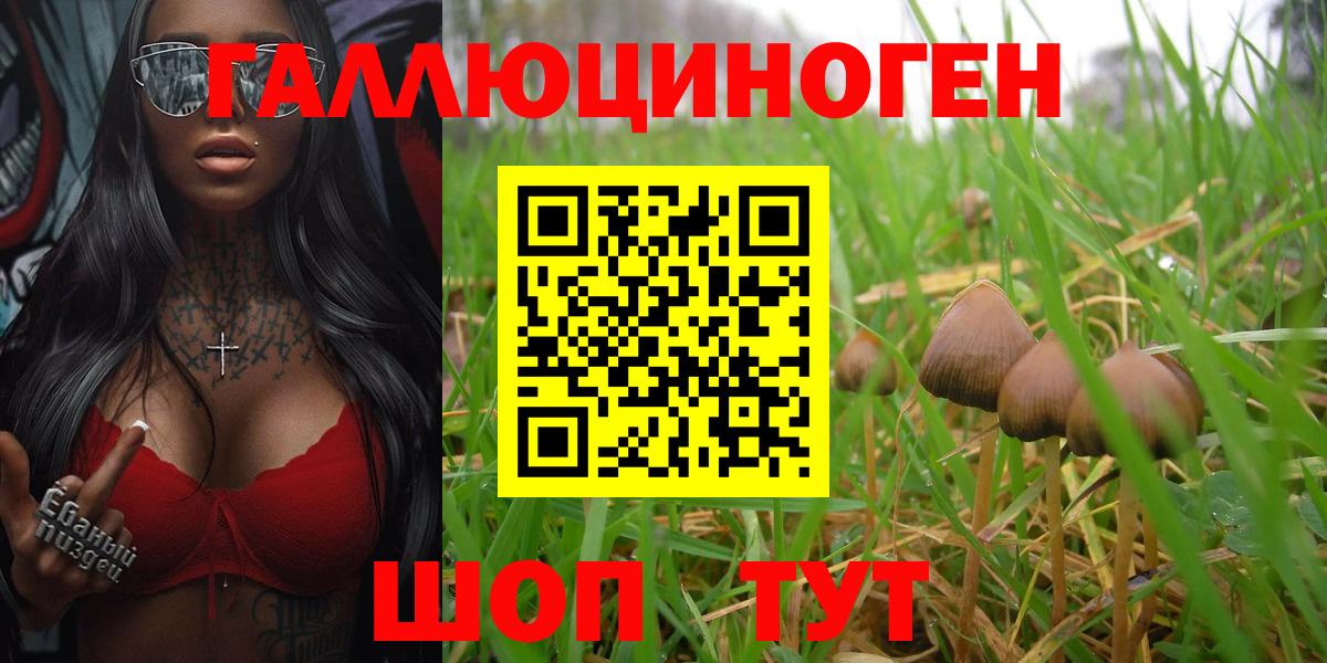 Псилоцибиновые грибы Cubensis  Вход с VPN  цены наркотик  Псилоцибиновые грибы Cubensis  Азнакаево 